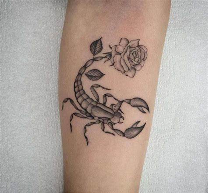 Tattoo of Skulls Roses Scorpions