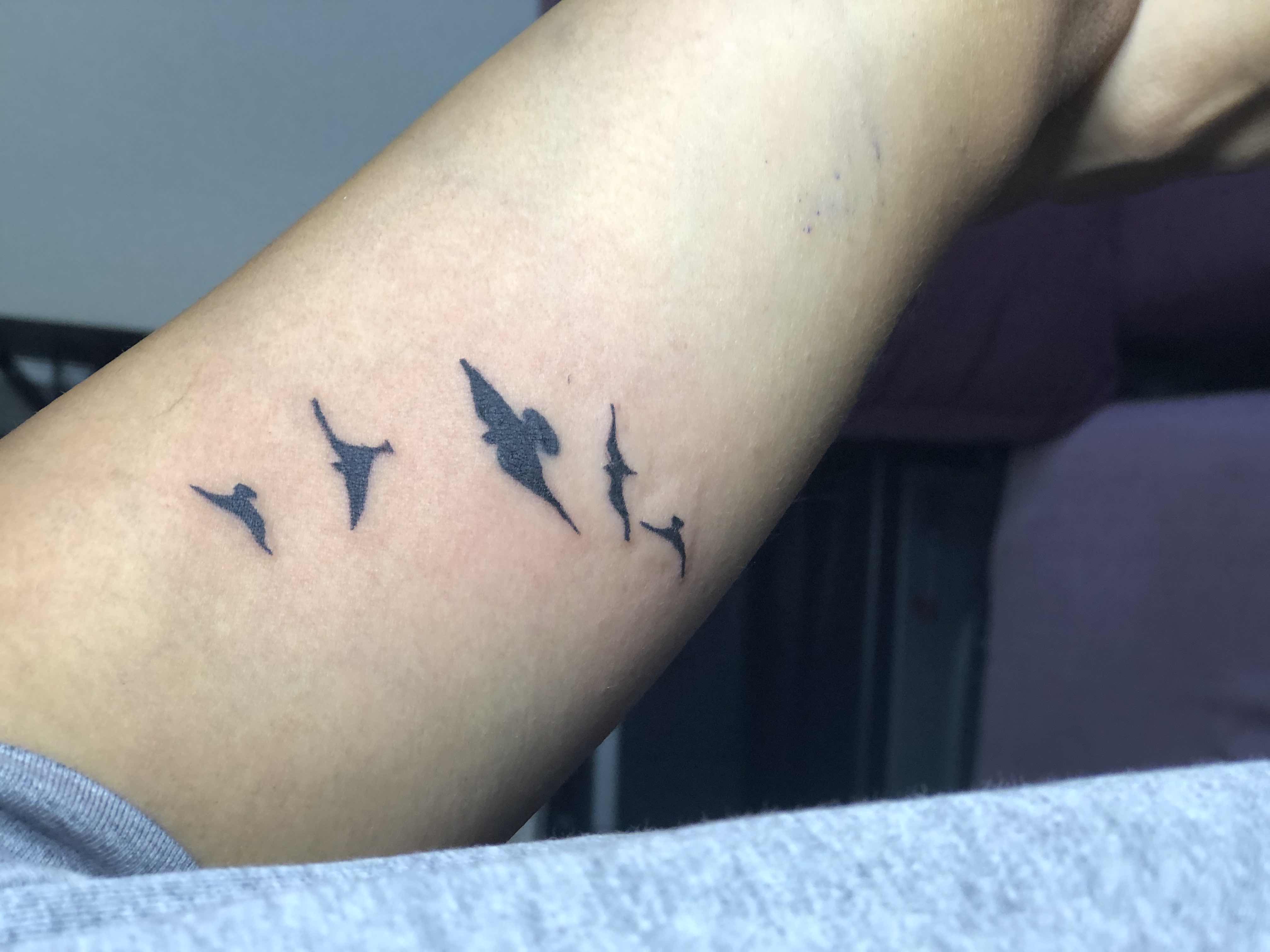 Birds Flying High || Book-ink Birds Flying High || Book-ink