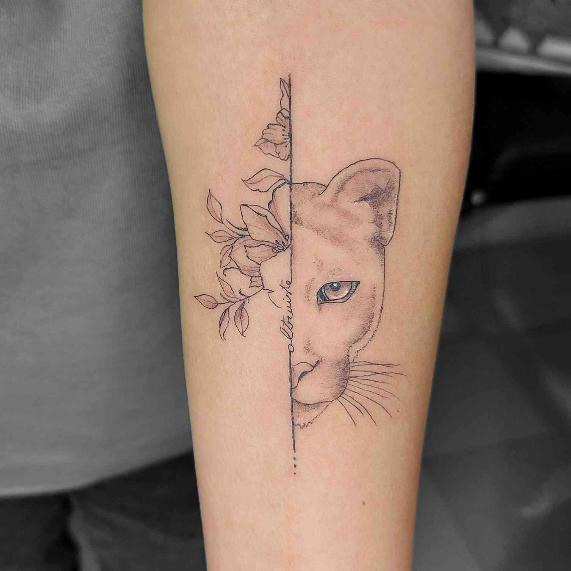 Cougar