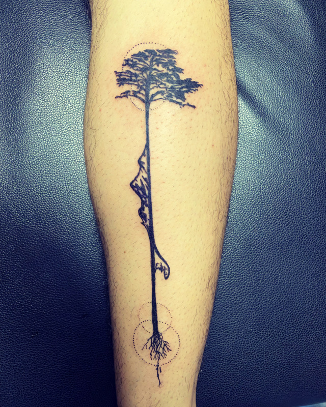 Tattoo of Nature Tree Araucaria